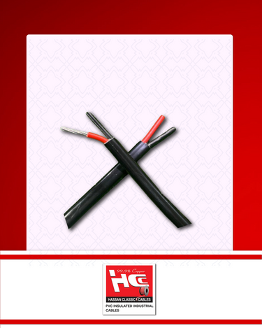 7/.052″ (10 MM²) 2 CORE ALUMINIUM/STD (WAPDA CABLE)